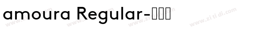 amoura Regular字体转换